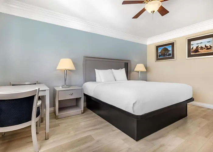 Best Western Tradewinds